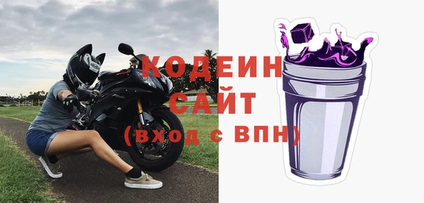 мдпв Осташков