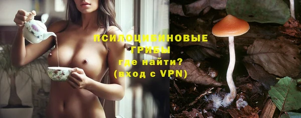 МДПВ Остров