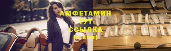 мдпв Осташков