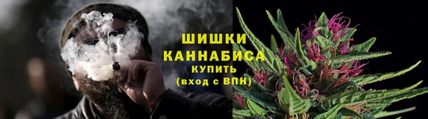 мдпв Осташков
