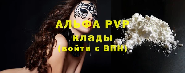 мдпв Осташков