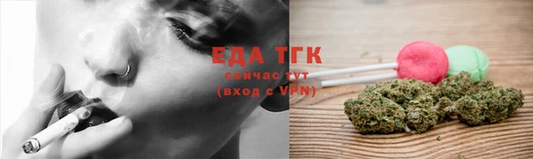 мдпв Осташков