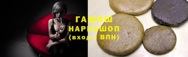 мдпв Осташков