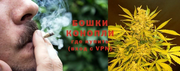 мдпв Осташков