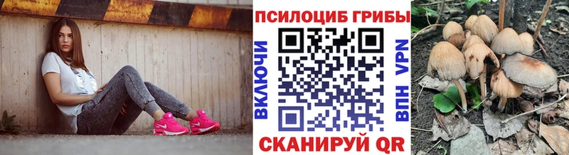 сколько стоит  Нерчинск  Галлюциногенные грибы MAGIC MUSHROOMS 